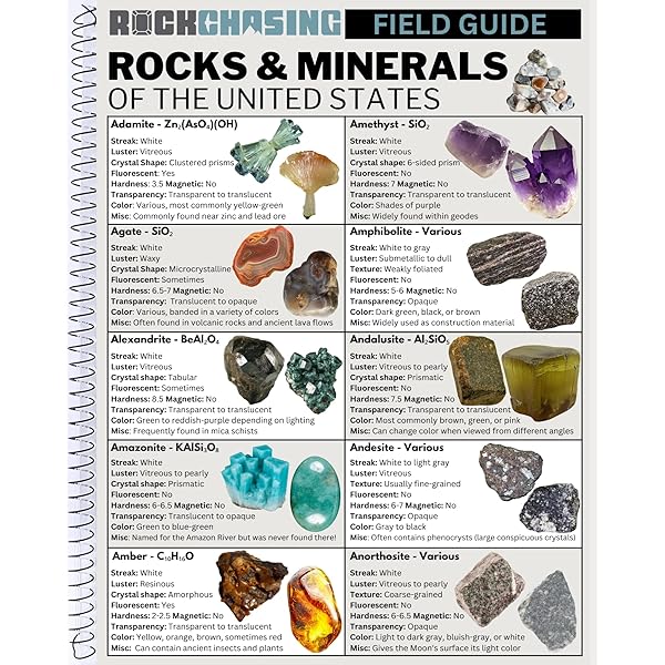 Rock and Gem: Ronald Louis Bonewitz: 9780756641924: Amazon